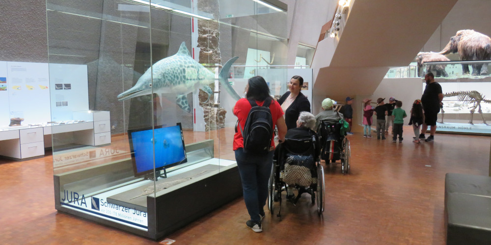 Zwei stehende Personen und eine Person im Rollstuhl schauen einen Fischsaurier im Museum an.